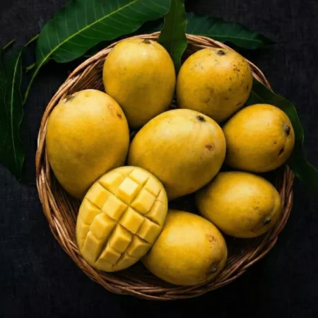 Fazli Mango – Large Size Fazli Mango Online | Sweet Juicy Mango | Mangohub