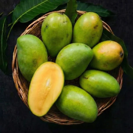 Totapuri Mango – Fresh Totapuri Mango for Juice, Pulp & Pickle | Mangohub