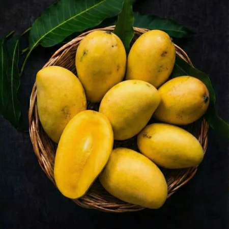 Chaunsa Mango – Sweet Juicy Chaunsa Mango Online | Premium Pakistani Style Mango | Mangohub