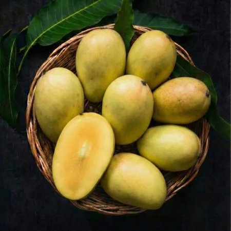 Amrapali Mango – Sweet Hybrid Amrapali Mango Online | Premium Indian Mango | Mangohub